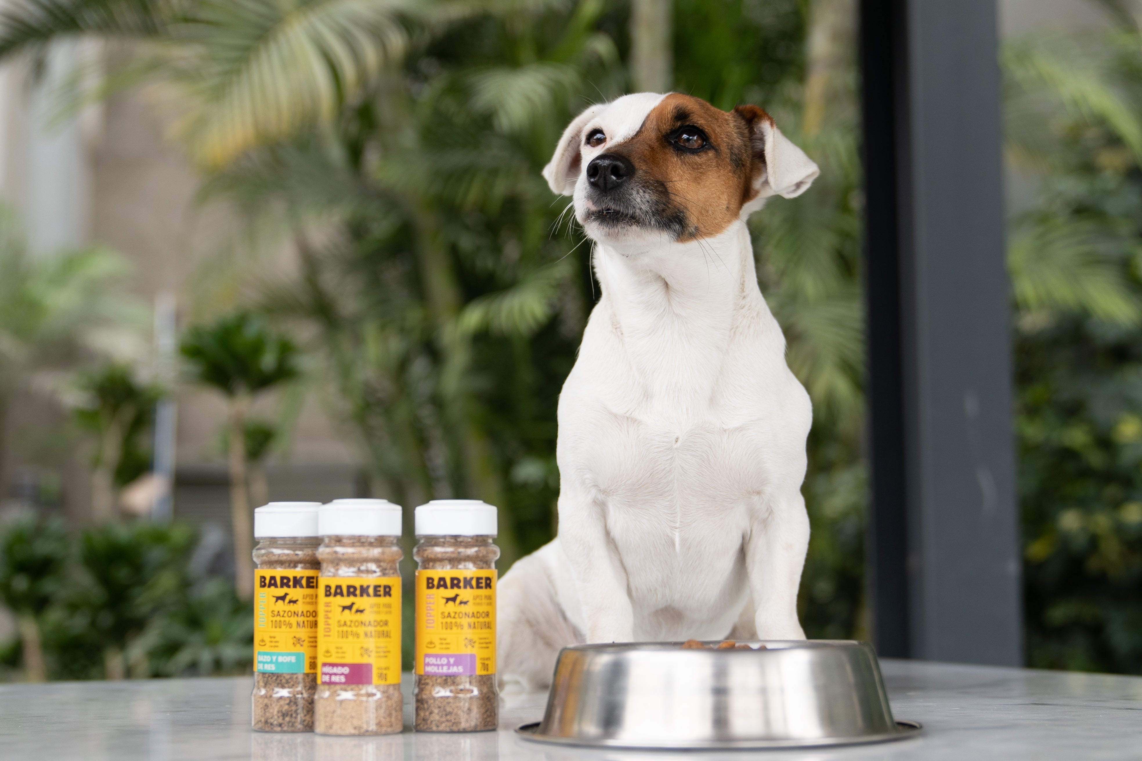 ¡Nuevos! 3 Pack Sazonadores (100% Naturales)